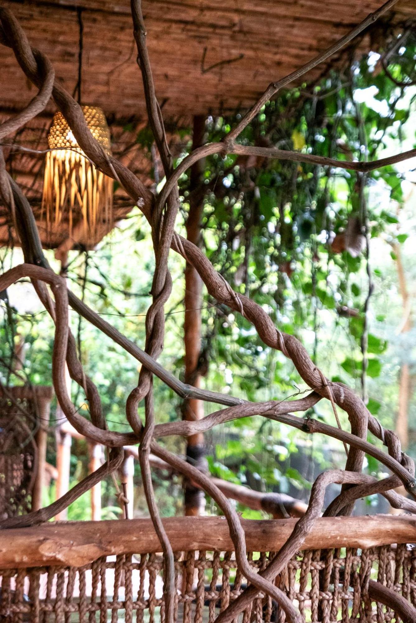 Akagera Transit Lodge Extérieur photo