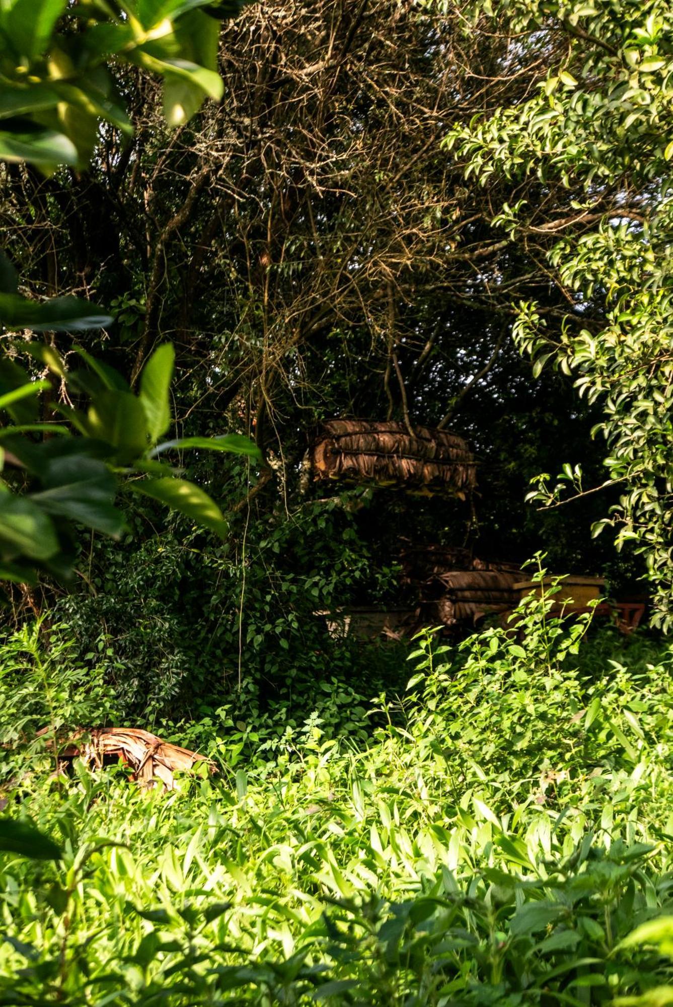 Akagera Transit Lodge Extérieur photo